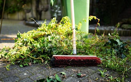 Backyard-Goods-Removal