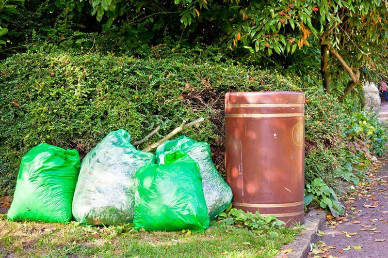 Garden Clearance Galway Best Tree Care Services 2024