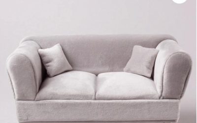 Couch Removal